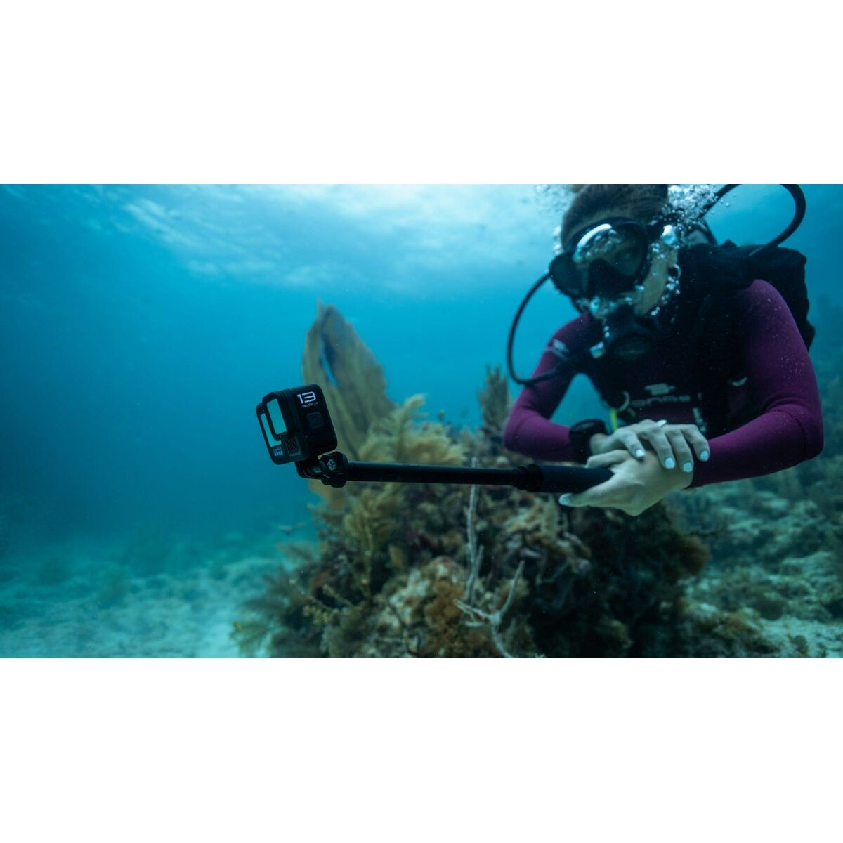 V10H0B812D7ED8AF2A6FC4F0D7AC9DB92758R6606661P5